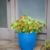 Viva Round Self-Watering Rolling Planter, 17.25” Diameter -Flowerpot Discount Store 8594077 0087 tif