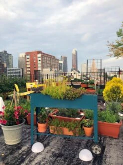 Demeter Mobile Planter Cart 14 Demeter Mobile Planter Cart -Flowerpot Discount Store 8594148 01CUST tif