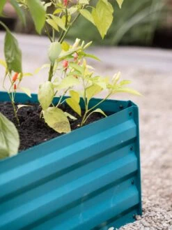 Demeter Corrugated Metal Raised Bed, 34" X 68" -Flowerpot Discount Store 8594183 470 tif 1