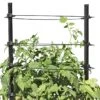 Gardener's Revolution® Classic Tomato Extension -Flowerpot Discount Store 8594367 0047 001E gardeners revolution classic tomato cage extension tif