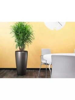 Lechuza® Rondo Self-Watering Planters -Flowerpot Discount Store 8594586 02V tif