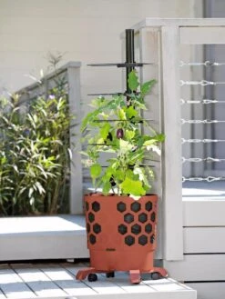 Gardener's Revolution® Tomato Planter -Flowerpot Discount Store 8594743 2618 tif