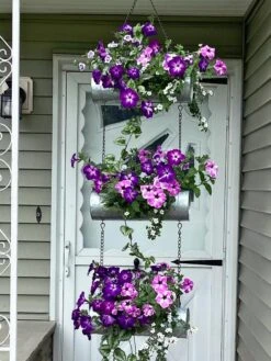 Galvanized Hanging Triple Planter 13 Galvanized Hanging Triple Planter -Flowerpot Discount Store 8595213 02CUST tif