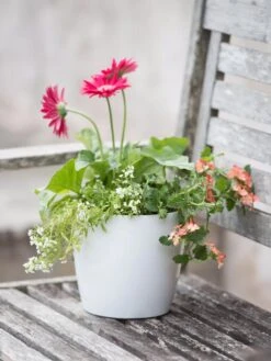 Viva Round Self-Watering Planter, 7" Diameter -Flowerpot Discount Store 8595222 1139 tif