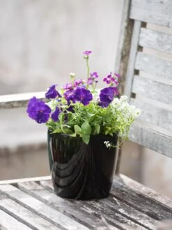 Viva Round Self-Watering Planter, 7" Diameter -Flowerpot Discount Store 8595222 1140 tif