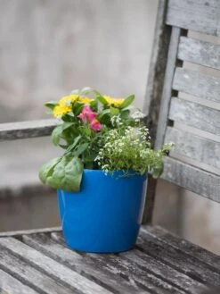 Viva Round Self-Watering Planter, 7" Diameter -Flowerpot Discount Store 8595222 1143 tif