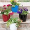Viva Round Self-Watering Planter, 7" Diameter 1 Viva Round Self-Watering Planter, 7" Diameter -Flowerpot Discount Store 8595222 5302 tif