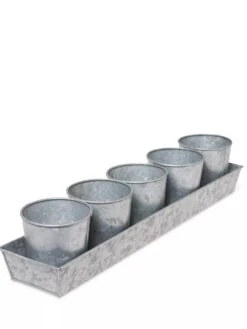 Galvanized Herb Planters With Rectangular Tray 9 Galvanized Herb Planters With Rectangular Tray -Flowerpot Discount Store 8595903 3924 tif