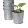 Galvanized Planting Cups, Set Of 5 -Flowerpot Discount Store 8596104 9899 tif