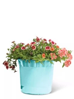 Eezy Gro Self-Watering Planters -Flowerpot Discount Store 8596426 103 tif