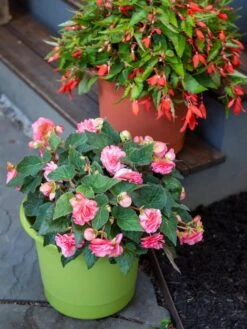 Eezy Gro Self-Watering Planters -Flowerpot Discount Store 8596427 0034 tif