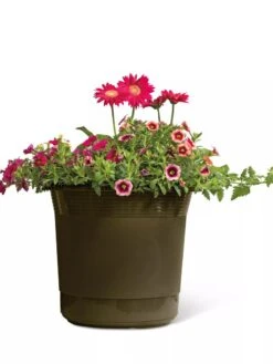 Eezy Gro Self-Watering Planters -Flowerpot Discount Store 8596427 108 tif
