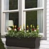 Valencia Window Box, 3' 2 Valencia Window Box, 3' -Flowerpot Discount Store 8596436 7496 tif