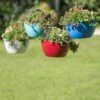 Viva Self-Watering Hanging Basket, 14" Diameter -Flowerpot Discount Store 8596442 0851 tif
