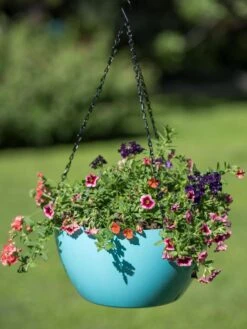 Viva Self-Watering Hanging Basket, 14" Diameter -Flowerpot Discount Store 8596442 0859 tif