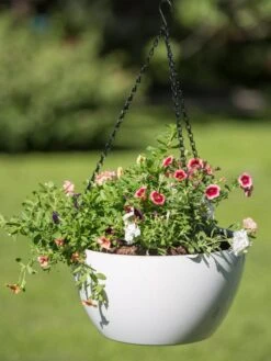 Viva Self-Watering Hanging Basket, 14" Diameter -Flowerpot Discount Store 8596442 0864 tif