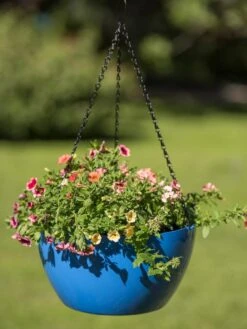 Viva Self-Watering Hanging Basket, 14" Diameter -Flowerpot Discount Store 8596442 0876 tif