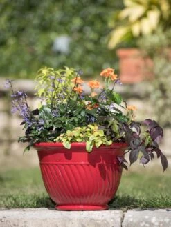 Mazzano Self-Watering Planters -Flowerpot Discount Store 8596564 4883 tif