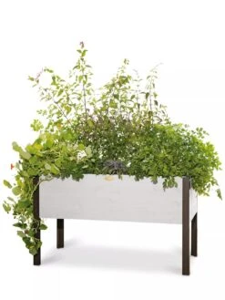 Eco-Stained Elevated Planter Box, 2'x4' -Flowerpot Discount Store 8596759 3837 tif