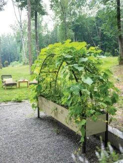 Self-Watering Elevated Planter Box, 2' X 8' -Flowerpot Discount Store 8596760 0046 tif