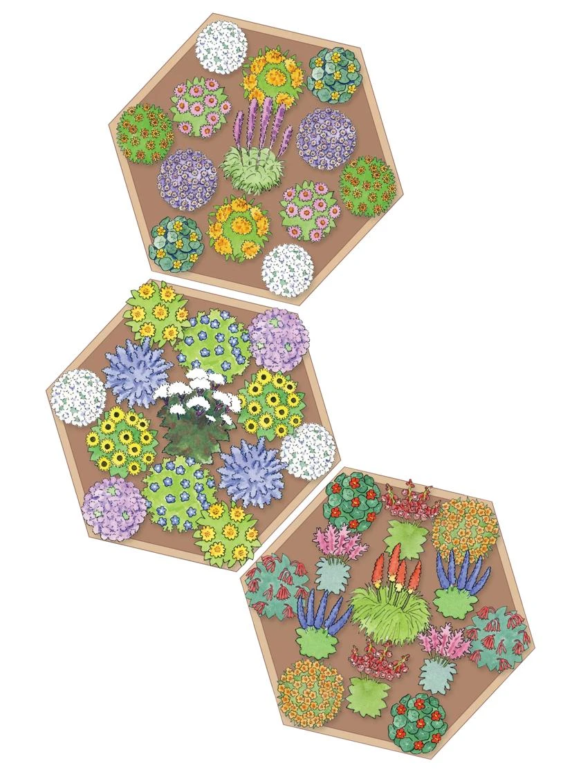 Pollinator Garden Bed 5 Pollinator Garden Bed - Image 3