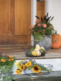 Galvanized Rim Planters -Flowerpot Discount Store 8597379 1625 tif