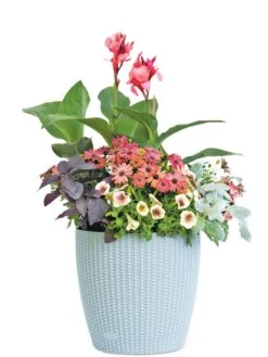 Weave Self-Watering Round Planter, 14" -Flowerpot Discount Store 8597388 2175 tif