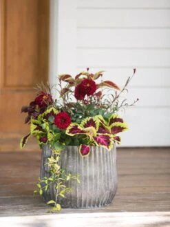 Galvanized Ribbed Planters -Flowerpot Discount Store 8597435 1693 tif