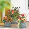 Galvanized Ribbed Planters -Flowerpot Discount Store 8597436 1680 tif