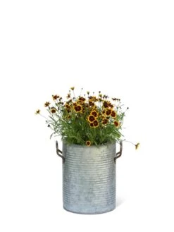 Galvanized Rim Planters -Flowerpot Discount Store 8597442 1705 tif