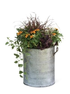 Galvanized Rim Planters -Flowerpot Discount Store 8597443 1704 tif