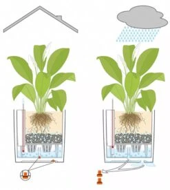 Lechuza® Cube Premium Planters -Flowerpot Discount Store 8597506 05V tif