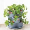 Stacking Strawberry Pot -Flowerpot Discount Store 8597996 9004 tif