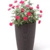 Weave Self-Watering Round Tall Planter, 12-1/2" 1 Weave Self-Watering Round Tall Planter, 12-1/2" -Flowerpot Discount Store 8598371 3000 tif