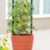 Gardener’s Victory Self-Watering Planter With Support System -Flowerpot Discount Store 8598384 6012 tif