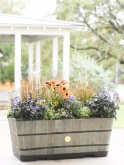 VegTrug™ Trough Planters -Flowerpot Discount Store 8598402 08880 tif