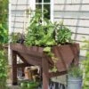 Compact VegTrug® Patio Garden -Flowerpot Discount Store 8598574 0400 tif