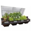 Vegepod Raised Garden Beds -Flowerpot Discount Store 8598931 02V