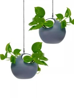 Exaco Euro Hanging Planters, Set Of 2 -Flowerpot Discount Store 8599179 04V tif