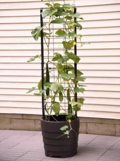 Gardener’s Victory Self-Watering Planter With Vine Trellis -Flowerpot Discount Store 8600177 9876 tif