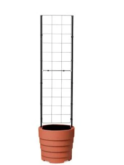 Gardener’s Victory Self-Watering Planter With Vine Trellis -Flowerpot Discount Store 8600178 7000 tif