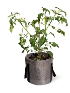 Reinforced Colorful Grow Bags -Flowerpot Discount Store 8600229 0944 tif