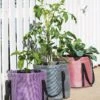 Reinforced Colorful Grow Bags -Flowerpot Discount Store 8600229 19957 tif
