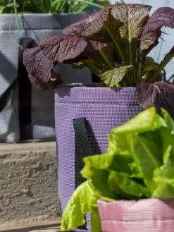 Reinforced Colorful Grow Bags -Flowerpot Discount Store 8600230 20013 tif