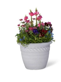 Cortina Self-Watering Planters 13 Cortina Self-Watering Planters -Flowerpot Discount Store 8600316 19838 tif