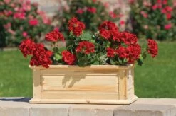 Savannah Window Boxes -Flowerpot Discount Store 8600461 04V tif