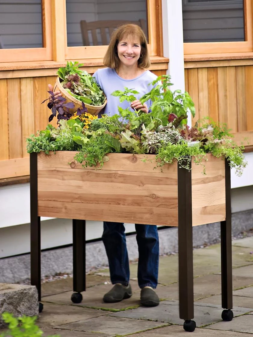 Rolling Patio Garden 6 Rolling Patio Garden - Image 4