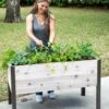 Self-Watering Eco-Stained Elevated Planter Box, 2' X 4' -Flowerpot Discount Store 8608961 5040 tif