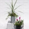 Metal Bucket Planters 2 Metal Bucket Planters -Flowerpot Discount Store 8609086 5623 tif