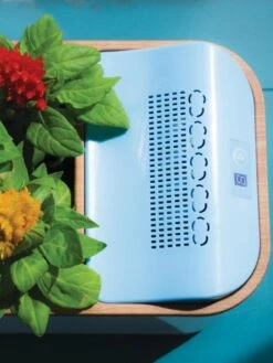 Dewplanter -Flowerpot Discount Store 8609512 Dewplanter